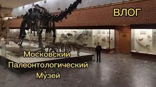 Поездка в Москву ВЛОГ! Московский Палеонтологический Музей