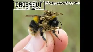 Crossout Импульсивность be like