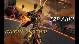 ETERNAL EVOLUTION: ОБЗОР АККАУНТА F2P! 1 КОПИЯ ВУКОНГА И ПВП!