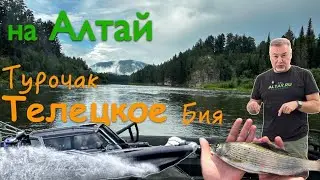 На АЛТАЙ! Путешествие на озеро ТЕЛЕЦКОЕ, рыбалка на реке Бия, хариус и аэролодка 🔥