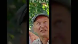 Сваты смешные моменты 