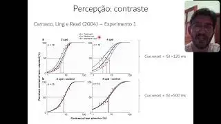 Aula - Atenção visual (parte 3)