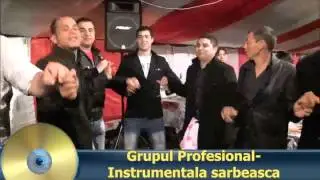 Grupul Profesional-Instrumentala sarbeasca