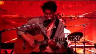 Wisse en Floris -  Old Pine