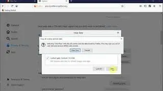 Delete all personal information and tracking information from Mozilla Firefox