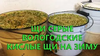 Серые щи из зеленых листьев капусты. Вологодские щи. Заготавливаем на зиму.