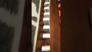 I got dominoes