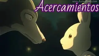 Beastars #5 Resumido