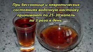 ЦЕЛЕБНАЯ НАСТОЙ ИЗ ПЕРЕГОРОДОК ГРЕЦКОГО ОРЕХА