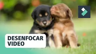 Unfocus Videos in Filmora 💙 | Filmora Course