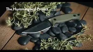 Hummingbird | Kickstarter Campaign Now Live