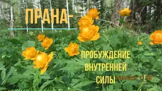 ПРАНА-пробуждение внутренней силы.Ч.1.