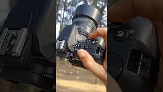 Nikon Camera Burst speed #shorts