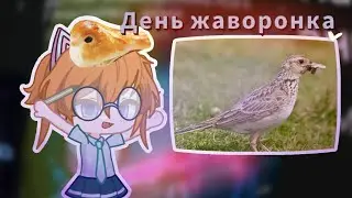День жаворонка! °Хома32°