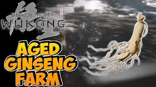Aged Ginseng Farm Guide - Black Myth Wukong
