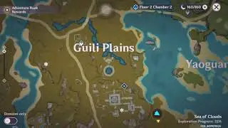 How to Enter the Ruins and Search for the strage plates |Genshin Impact