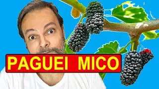 FUI PEGO OLHANDO PRA CASA DO VIZINHO
