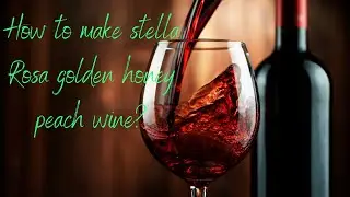 How to make stella Rosa golden honey peach wine? #peach wine #honey #drink #wine #winetasting