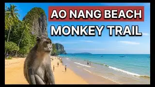 Monkey Trail to Pai Plong Beach. Where To Travel in Krabi 🇹🇭