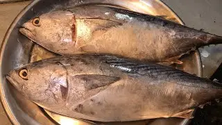 Luxurious Tuna Fish Cutting Skills/Expert Cutting Tuna Fish in Kaller Mur Fish Market 