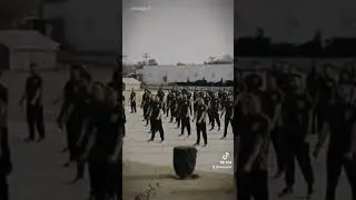Asf Training Video