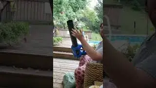 The Nut launcher 3000