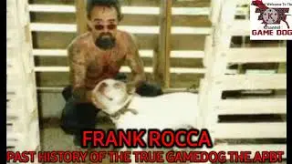 APBT   Frank Rocca Speaks About Myths Behind Some Famous Dogs