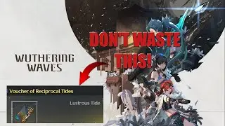 CHOOSE CORRECTLY ON YOUR 5* SELECTOR | Wuthering Waves 5* selector guide