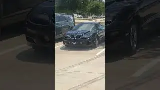 Gorgeous Trans Am