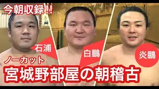 今朝収録!!【ノーカット版】宮城野部屋の朝稽古（横綱 白鵬、炎鵬、石浦）