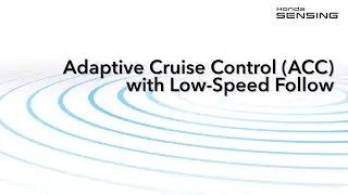Pilot with Honda Sensing® – Adaptive Cruise Control with Low-Speed Follow