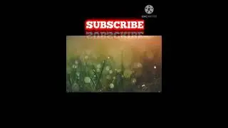 LAGU ETERNAL YOUTH