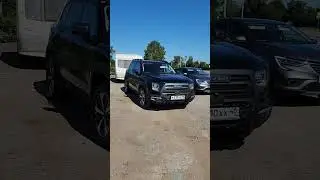Дарго с караваном