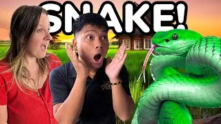 SHOCKED to see this HUGE SNAKE in our Thai house!
