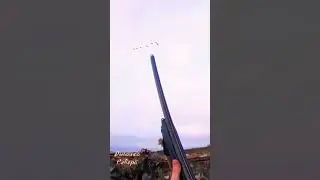 #ТОЛЬКО СТРЕЛЬБА #НИЧЕГО ЛИШНЕГО #ОХОТА НА ГУСЯ#