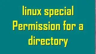 Linux Special Permission for a directory