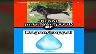 Dutch Isn't Real...
