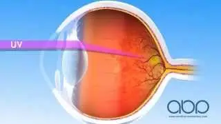 UV rays on the eyes