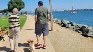 Fur baby's first travel in San Diego