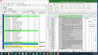 Primavera Vs Project