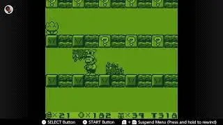 So much for a clutch survive - Super Mario Land 2: 6 Golden Coins 