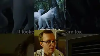 The Origin of the Nine-tailed Fox
