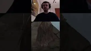 Рофл голосовой донат #папич