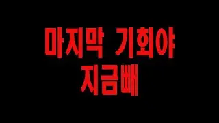 와이프의 마지막 기회