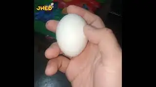 ISANG ITLOG NALUTO sa lima #lifehacks