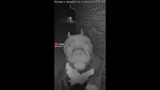 (сборник) ВСЕ МОИ ВИДЕО-МЕМЫ