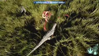 LET'S TAKE A LOOK AT THE ISLE UPDATE 6 STRESS TEST!