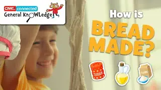 How is bread made? | General KnOWLedge