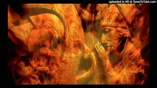 Amber und Gefährten - Weiden im Wind