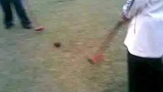ecah main woodball